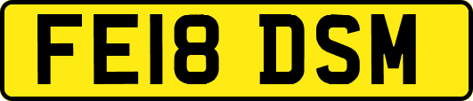 FE18DSM