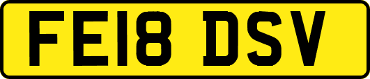 FE18DSV