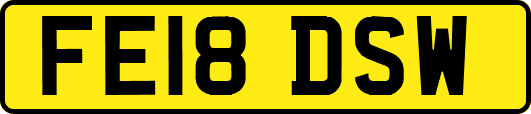 FE18DSW