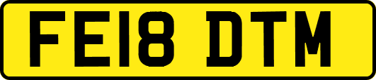 FE18DTM