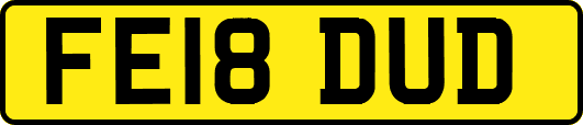 FE18DUD