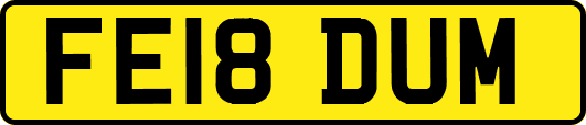 FE18DUM