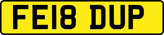 FE18DUP