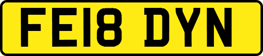FE18DYN