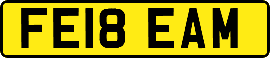 FE18EAM