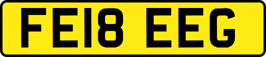 FE18EEG