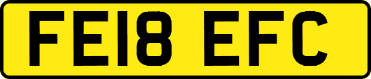FE18EFC