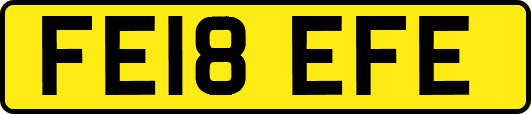 FE18EFE