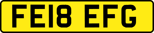 FE18EFG