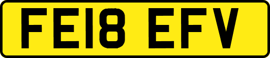 FE18EFV