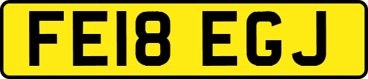 FE18EGJ