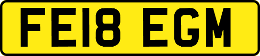 FE18EGM