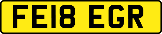 FE18EGR