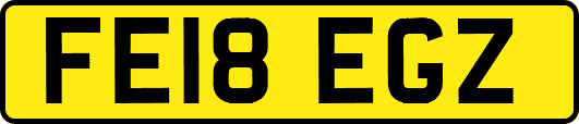 FE18EGZ