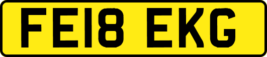 FE18EKG