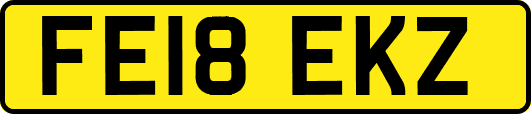 FE18EKZ