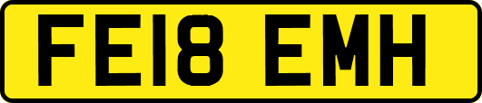 FE18EMH