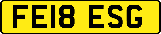 FE18ESG