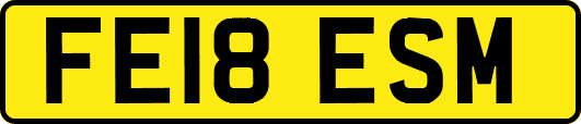 FE18ESM