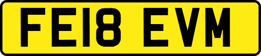 FE18EVM