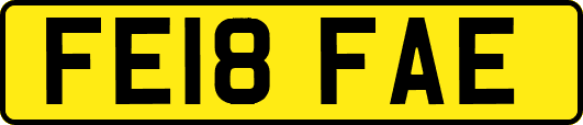 FE18FAE