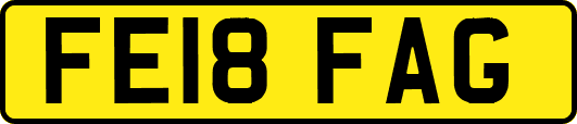 FE18FAG