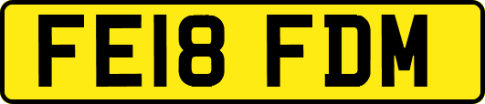 FE18FDM
