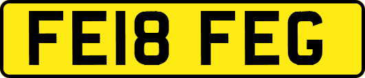 FE18FEG