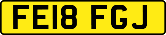 FE18FGJ