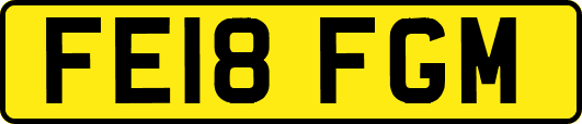 FE18FGM