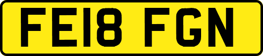 FE18FGN