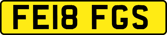 FE18FGS