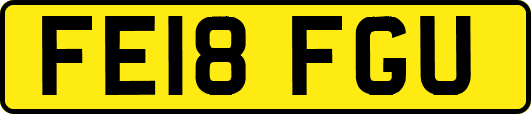 FE18FGU