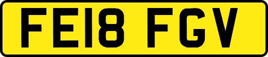 FE18FGV
