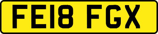 FE18FGX