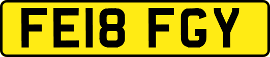 FE18FGY