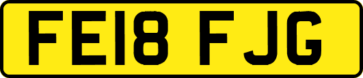 FE18FJG