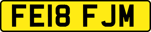 FE18FJM