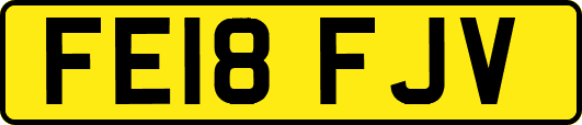 FE18FJV