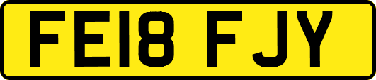 FE18FJY