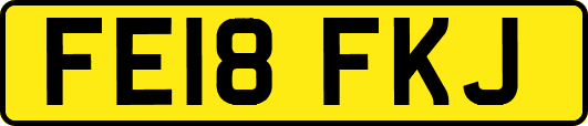 FE18FKJ