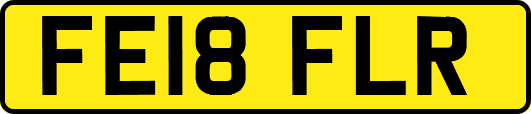 FE18FLR