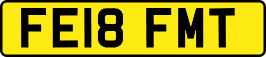 FE18FMT