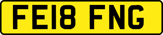 FE18FNG