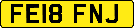 FE18FNJ