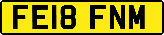 FE18FNM