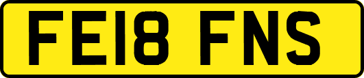 FE18FNS