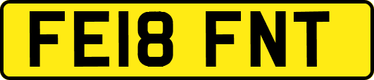 FE18FNT