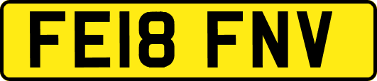 FE18FNV