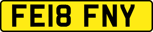 FE18FNY